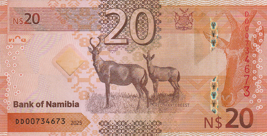 (519) ** PNew (PN21) Namibia - 20 Dollars (2025)